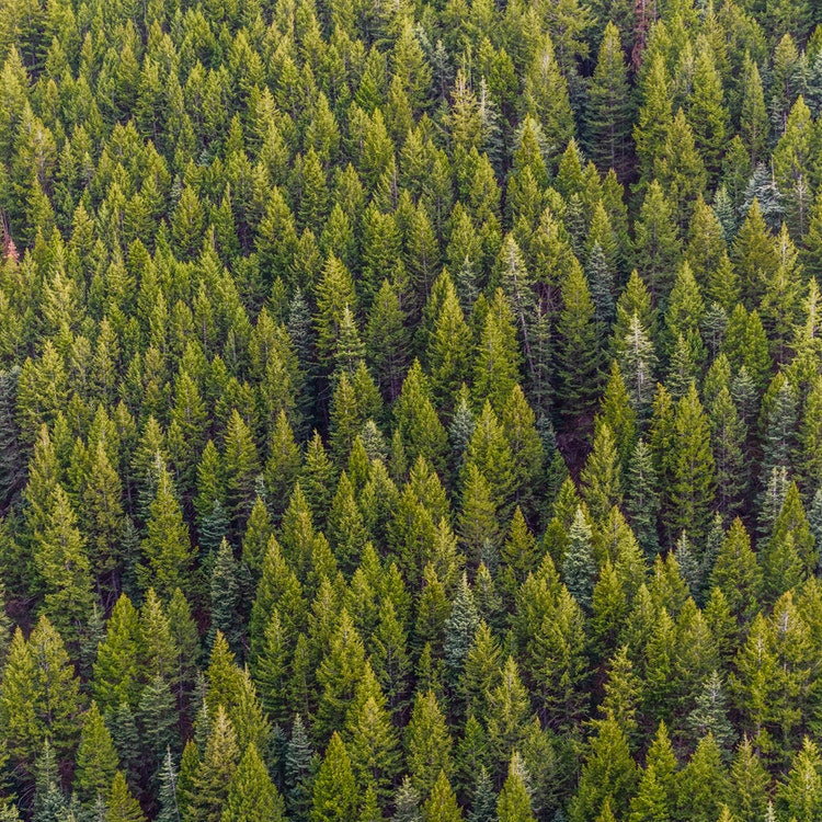 How Green Is Green Enough?