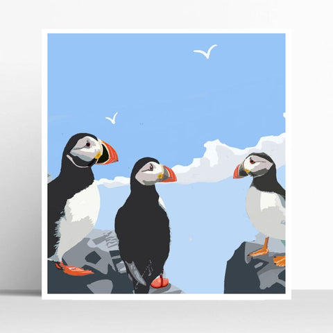 Puffins Rock