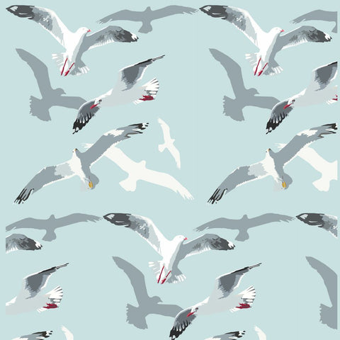 BOYNS002 : Gulls