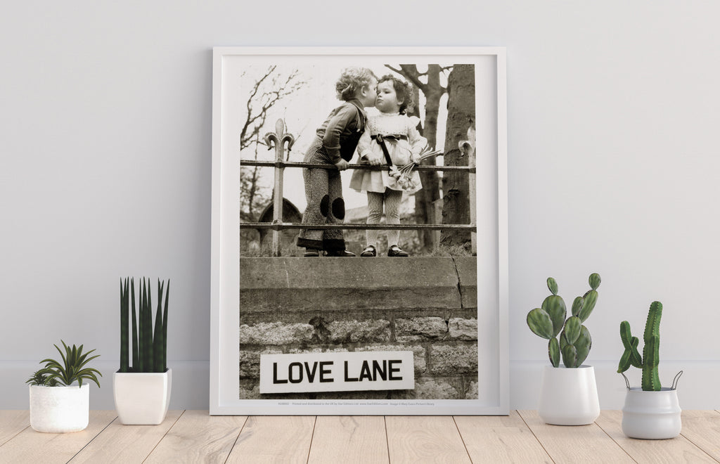 Love Lane - 11X14inch Premium Art Print