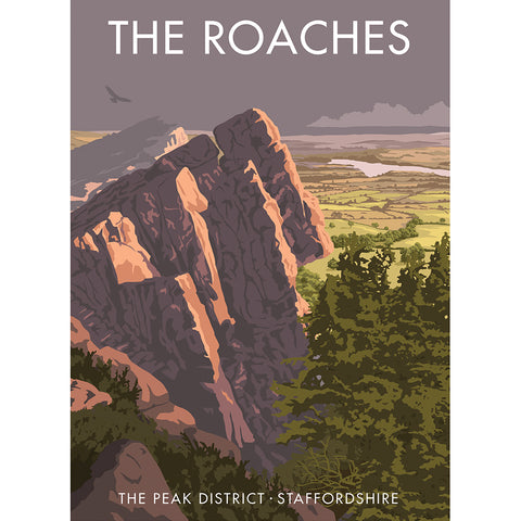 MILMI003: The Roaches