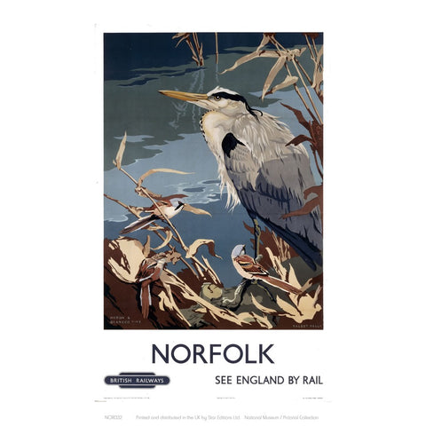 Norfolk Heron 24" x 32" Matte Mounted Print