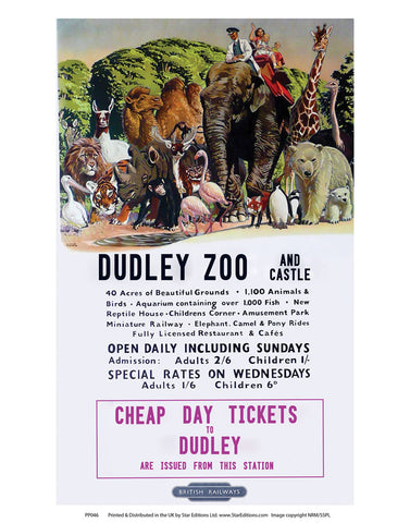 PP046 Dudley 24" x 32" Matte Mounted Print