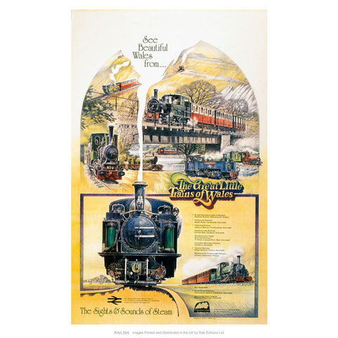 The Great Little Trains of Wales - the sights and sounds of steam 24" x 32" Matte Mounted Print