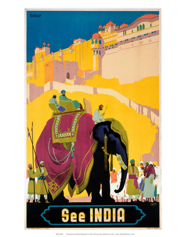 See India - Elephant 24" x 32" Matte Mounted Print