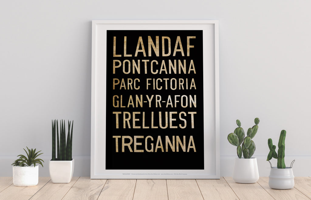 Llandaf, Pontcanna, Parc Fictoria, Art Print