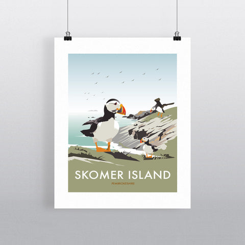 THOMPSON552: Skomer Island, Pembrokeshire. Greeting Card 6x6