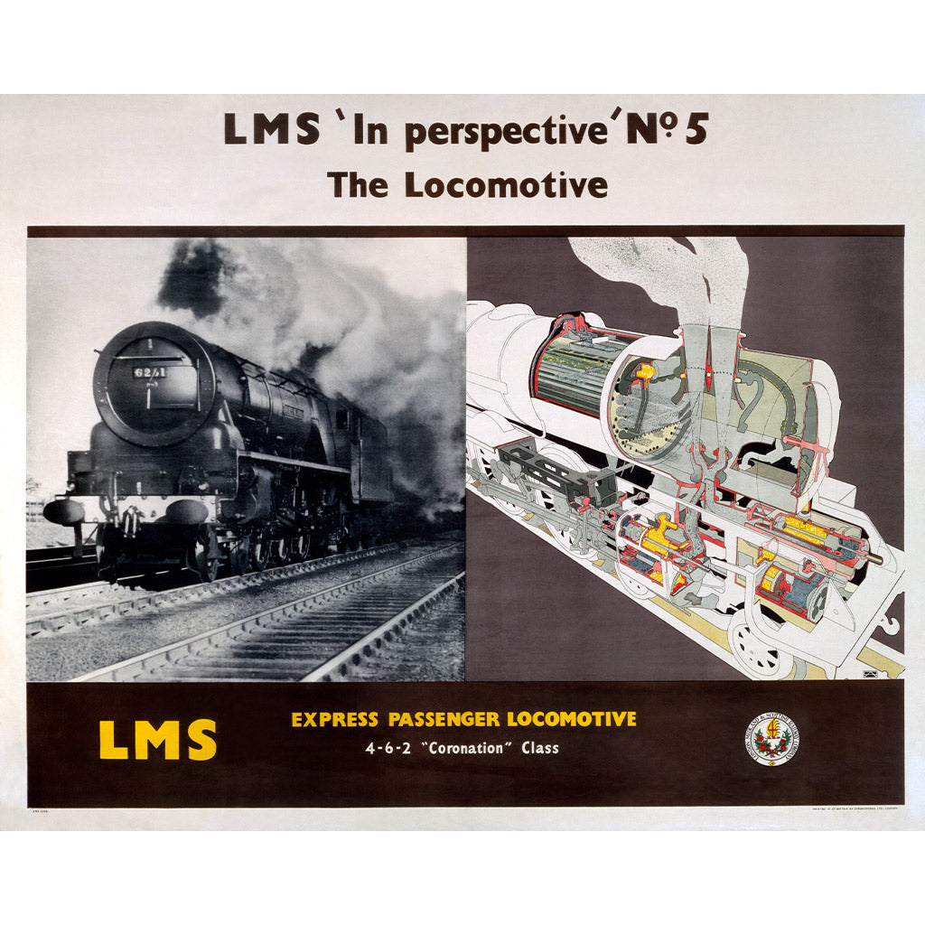 10173081: LMS in Perspective n.5