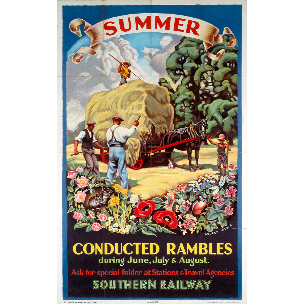 10174990: Summer - Conducted Rambles