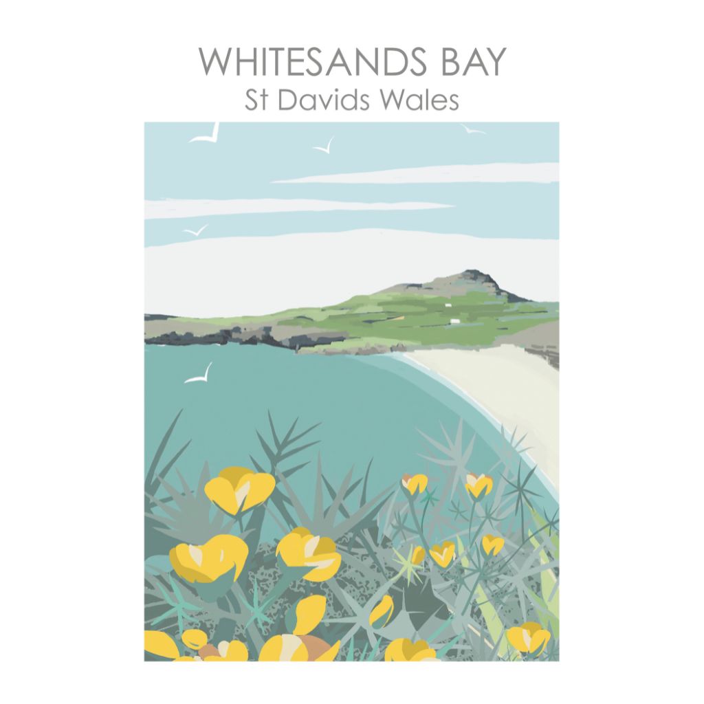 BOYNS347:Whitesands Bay, St Davids, Wales