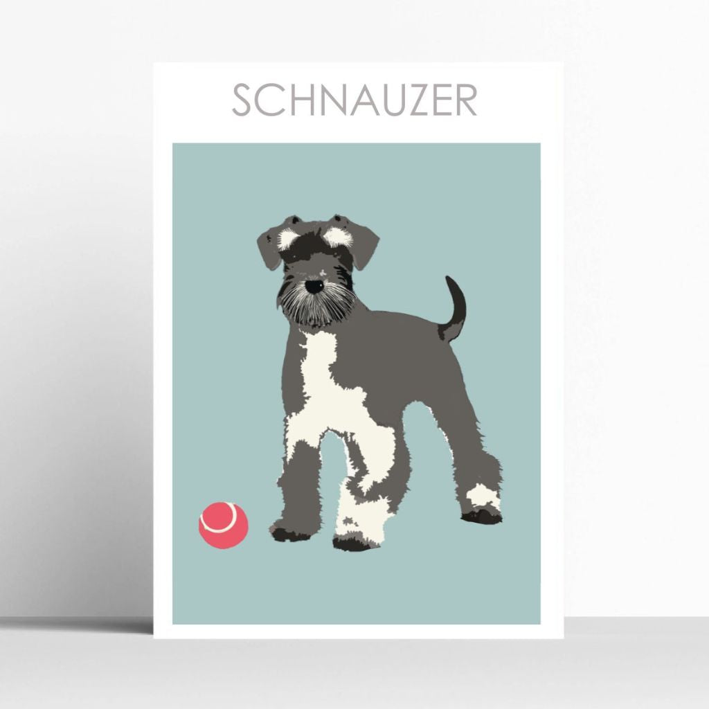 BOYNS005 : Salt and Pepper Schnauzer