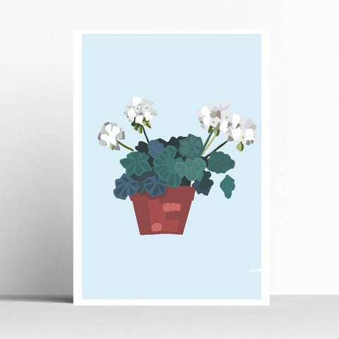 BOYNS048:Geranium white