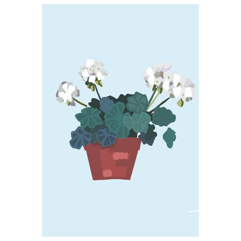 BOYNS048:Geranium white