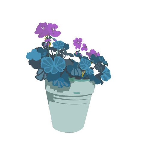 BOYNS047:Geranium purple blue