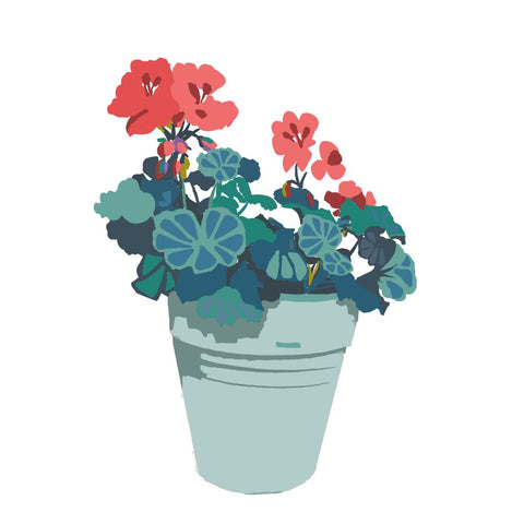 BOYNS046:Geranium pink