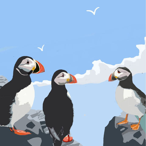 Puffins Rock