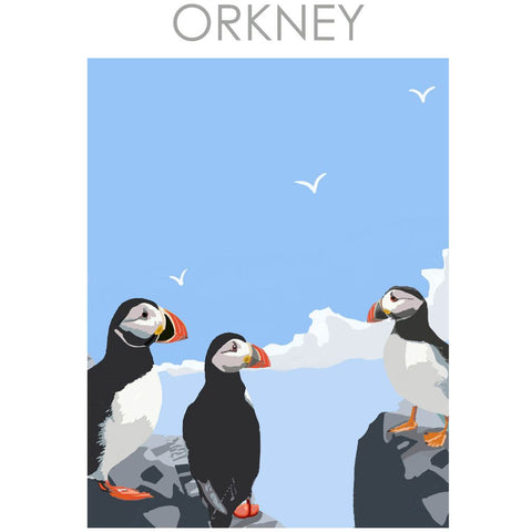 BOYNS004 : Orkney Puffins