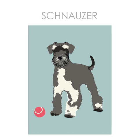 BOYNS005 : Salt and Pepper Schnauzer