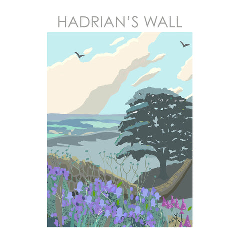 BOYNS399 : Hadrian's Wall