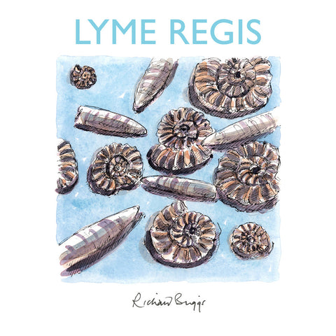 BRI321: Lyme Regis Fossil collection, Lyme Regis