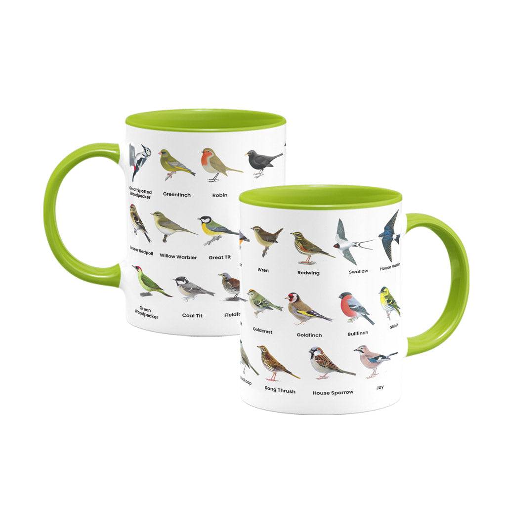 CHSE143: British Garden Birds Coloured Insert Mug