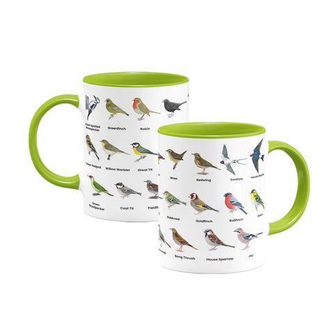 CHSE143: British Garden Birds Coloured Insert Mug