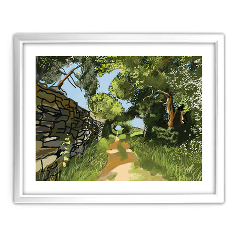 HARP004: Tree Tunnel in Summer, Bingley