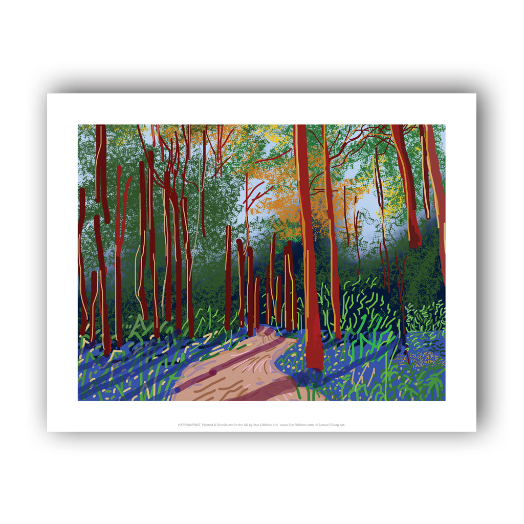 HARP006: Bluebells in St Ives Estate, Bingley