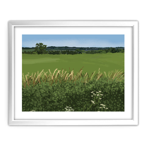 HARP013: Gateway to The Dales, Wilsden Hedgerow