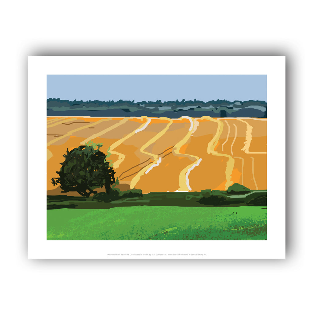 HARP036: Woldgate in Harvest