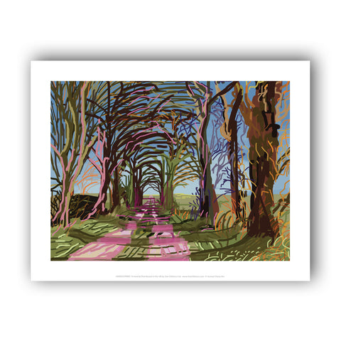 HARP037: Woldgate in Spring