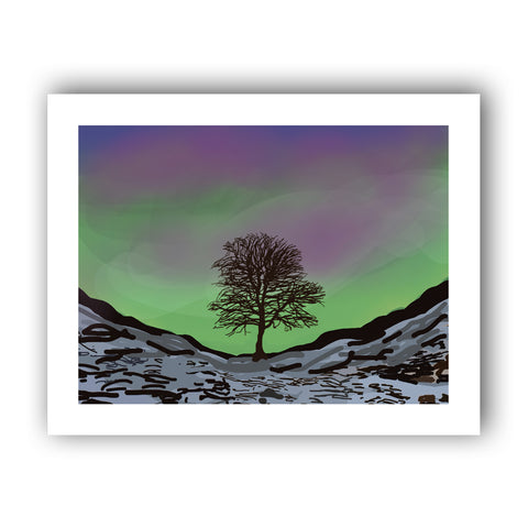 HARP055: Sycamore Gap Northern Lights