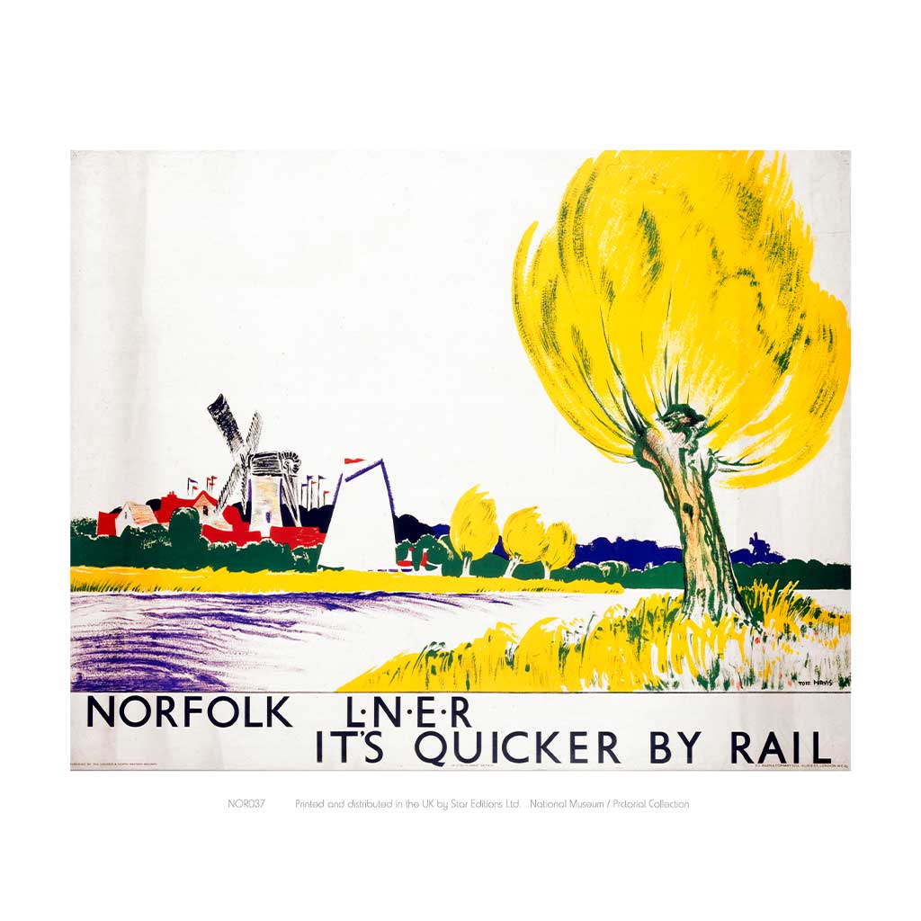 NOR037: Norfolk Big Yellow Tree