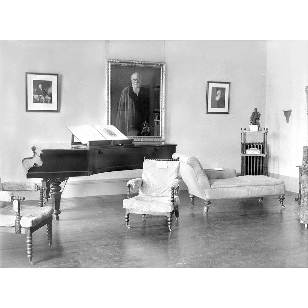 RAIL2392: Black and White Piano and Armchairs