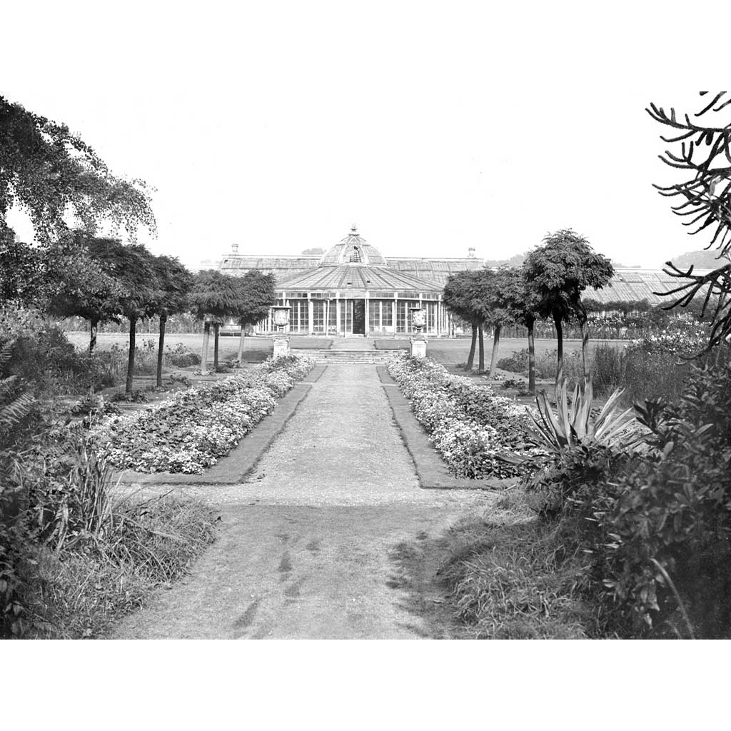 RAIL2407: Black and White Greenhouse