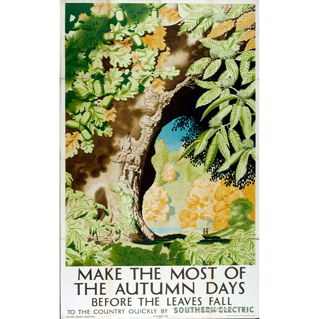 RAIL2576: Make the most of the Autumn Days - Southern Eletric