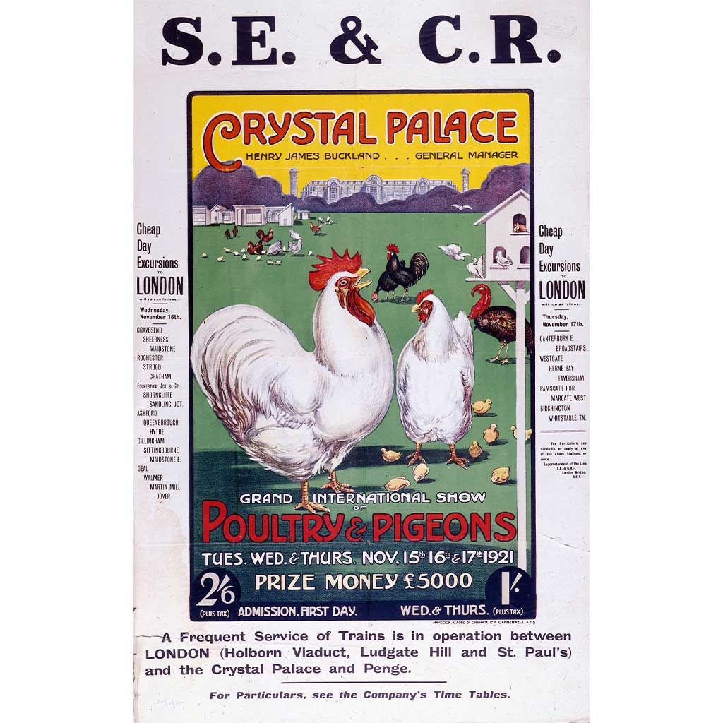 SSPL_10171753_HighRes: Crystal Palace - Grand International Show of Poultry