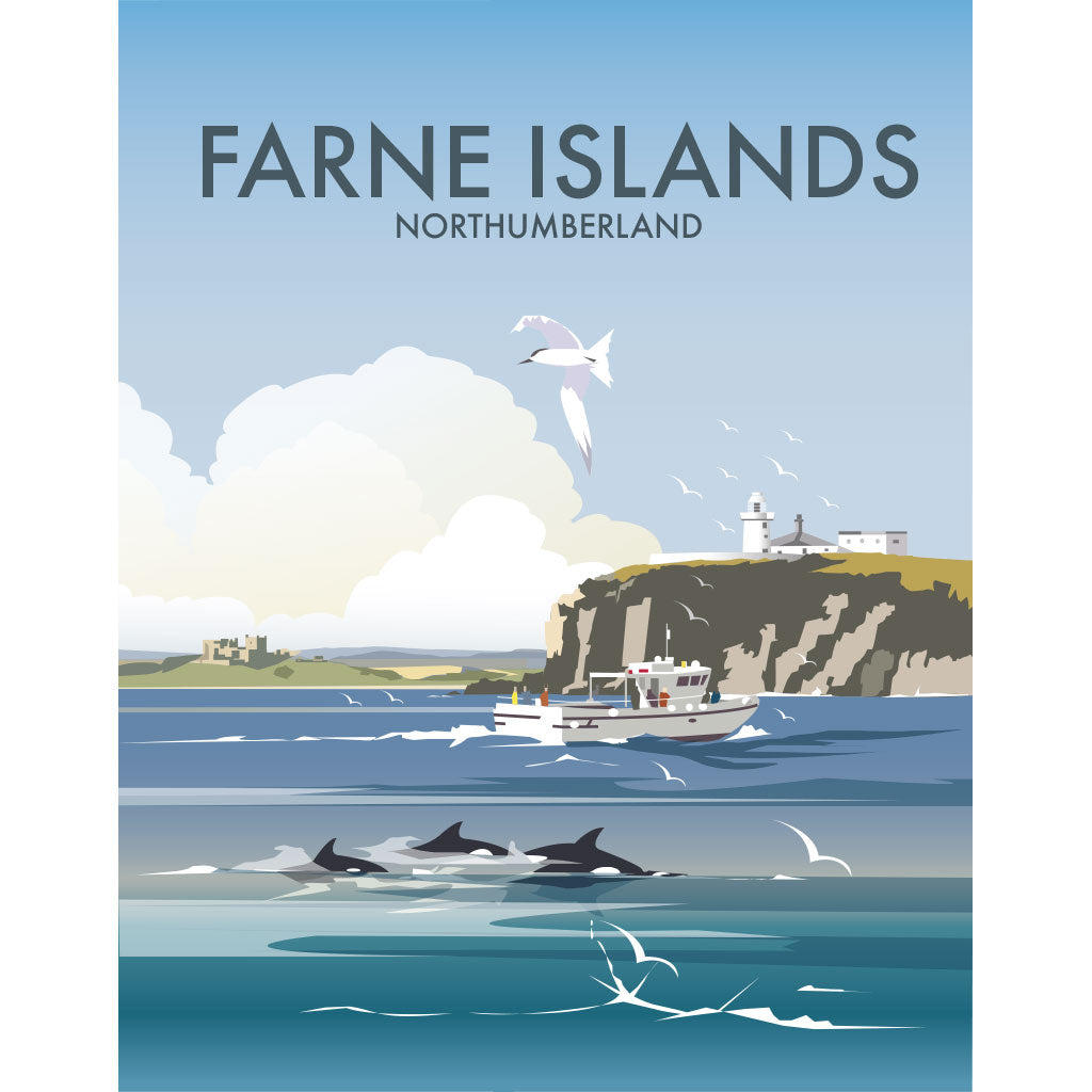 THOMPSON1244: Farne Island, Northumberland