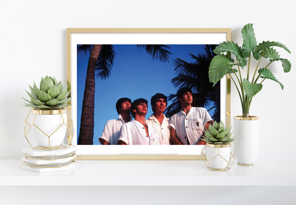 The Beatles - Palm Trees - 11X14inch Premium Art Print