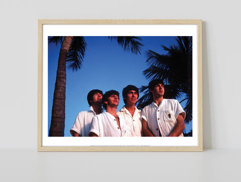 The Beatles - Palm Trees - 11X14inch Premium Art Print