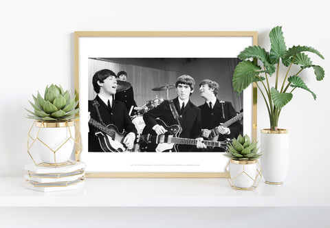 The Beatles - Group Photo Live - 11X14inch Premium Art Print