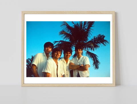 The Beatles - In Front Of Palm Trees - Premium Art Print