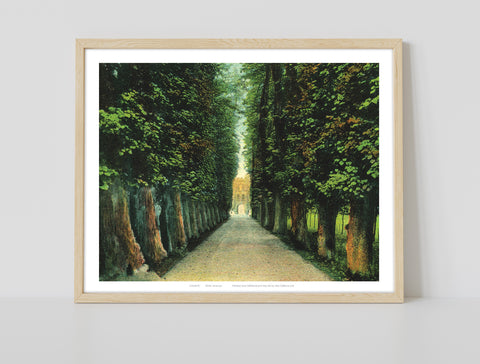 Trinity Avenue - 11X14inch Premium Art Print