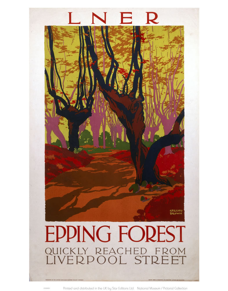 Epping Forest Quickly Reached 24" x 32" Matte Mounted Print