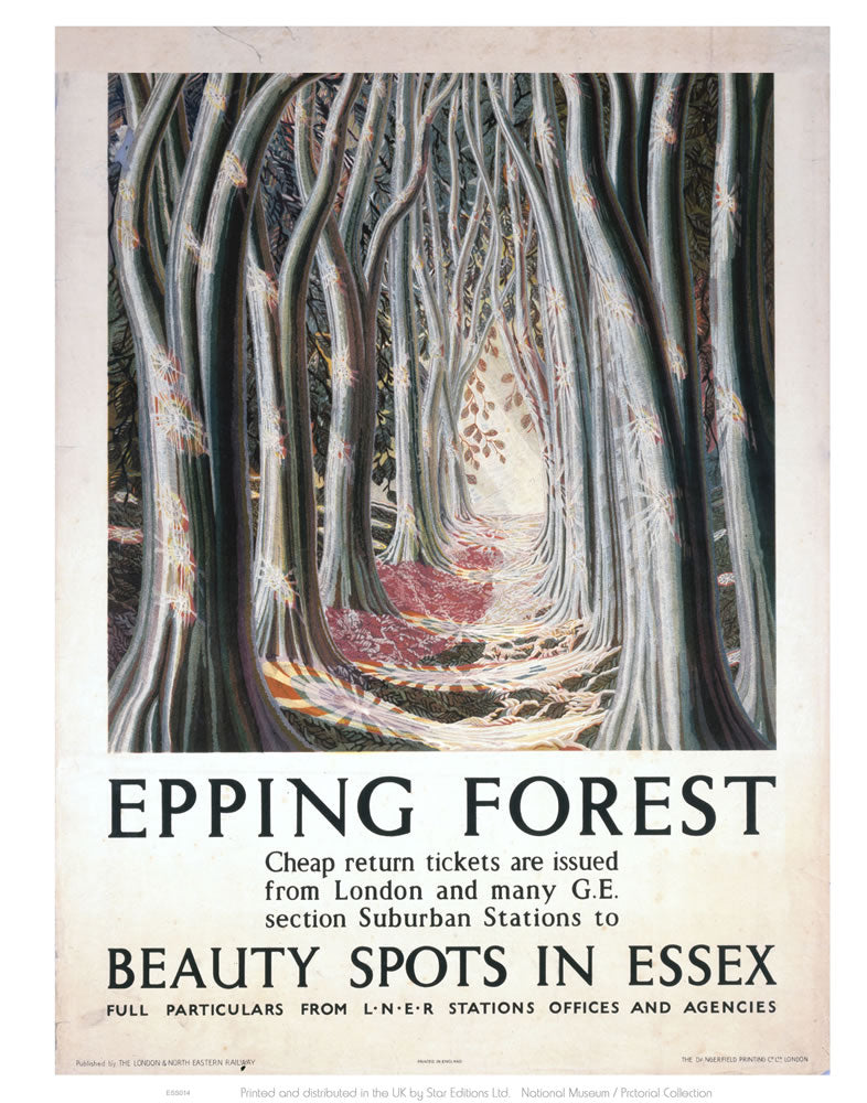 Epping Forest Beauty Spots in Essex 24" x 32" Matte Mounted Print