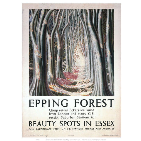 Epping Forest Beauty Spots in Essex 24" x 32" Matte Mounted Print