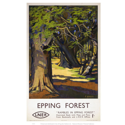 Rambles in Epping Forest 24" x 32" Matte Mounted Print