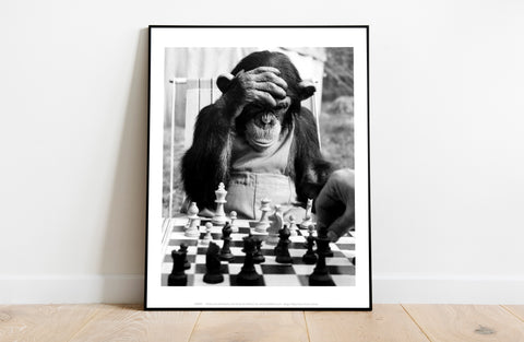 Poster - Monkey Image - 11X14inch Premium Art Print