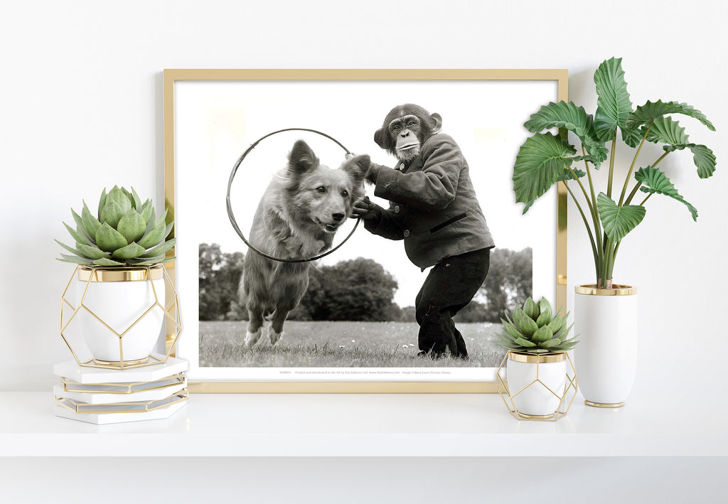 Monkey The Dog Trainer - 11X14inch Premium Art Print