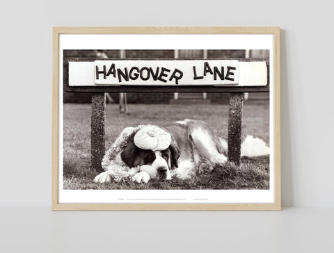 Hangover Lane - 11X14inch Premium Art Print